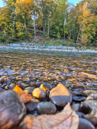 River beach Eichholz