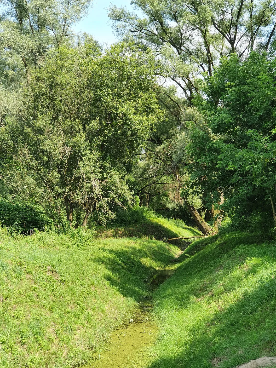 Bielańsko-tyniecka północna trasa rowerowa w Krakowie