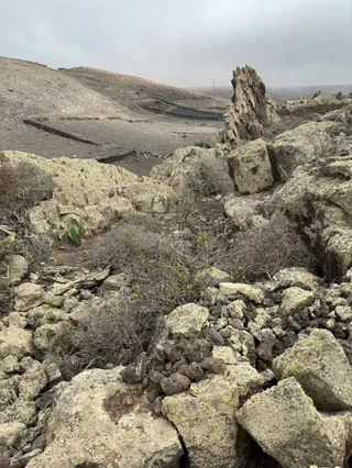 Camino de los Gracioseros (sendero para playa de risco)