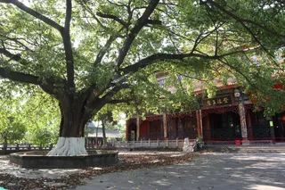 昭觉寺