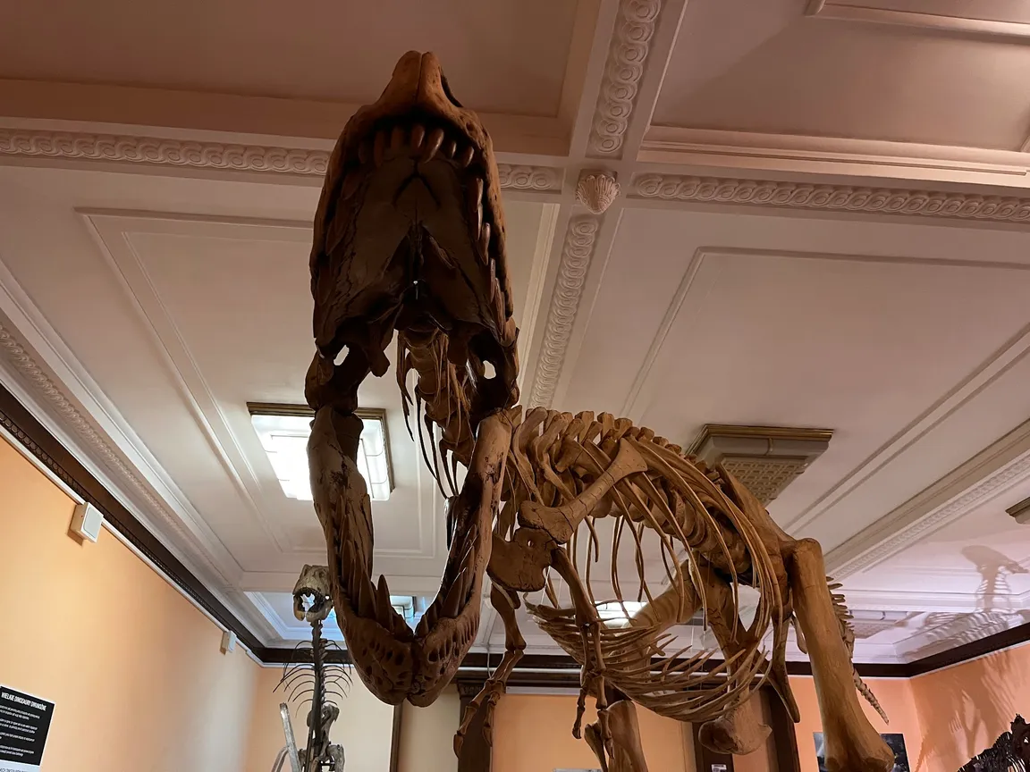 Muzeum Ewolucji w PKiN
