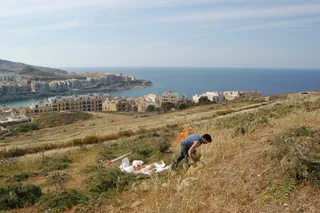 Terrae Gallery