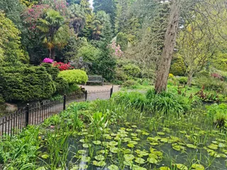 Fletcher Moss Botanical Gardens