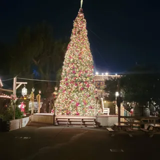 Knott's Berry Farm