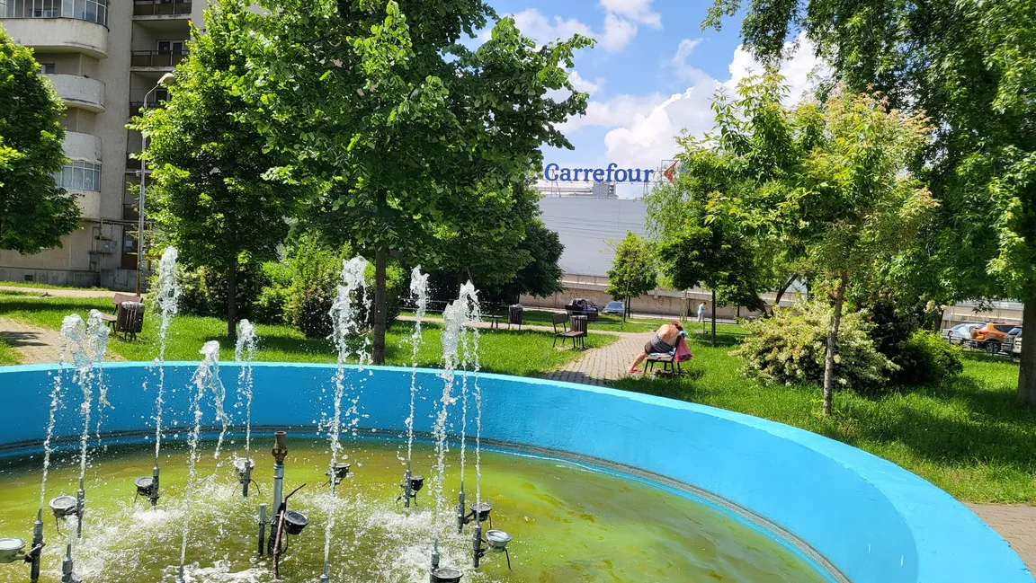 Parcul Steaua