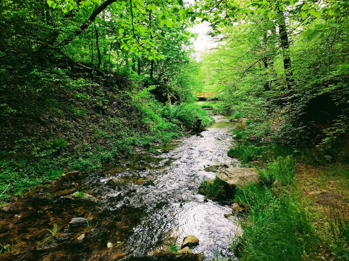Sztolnie