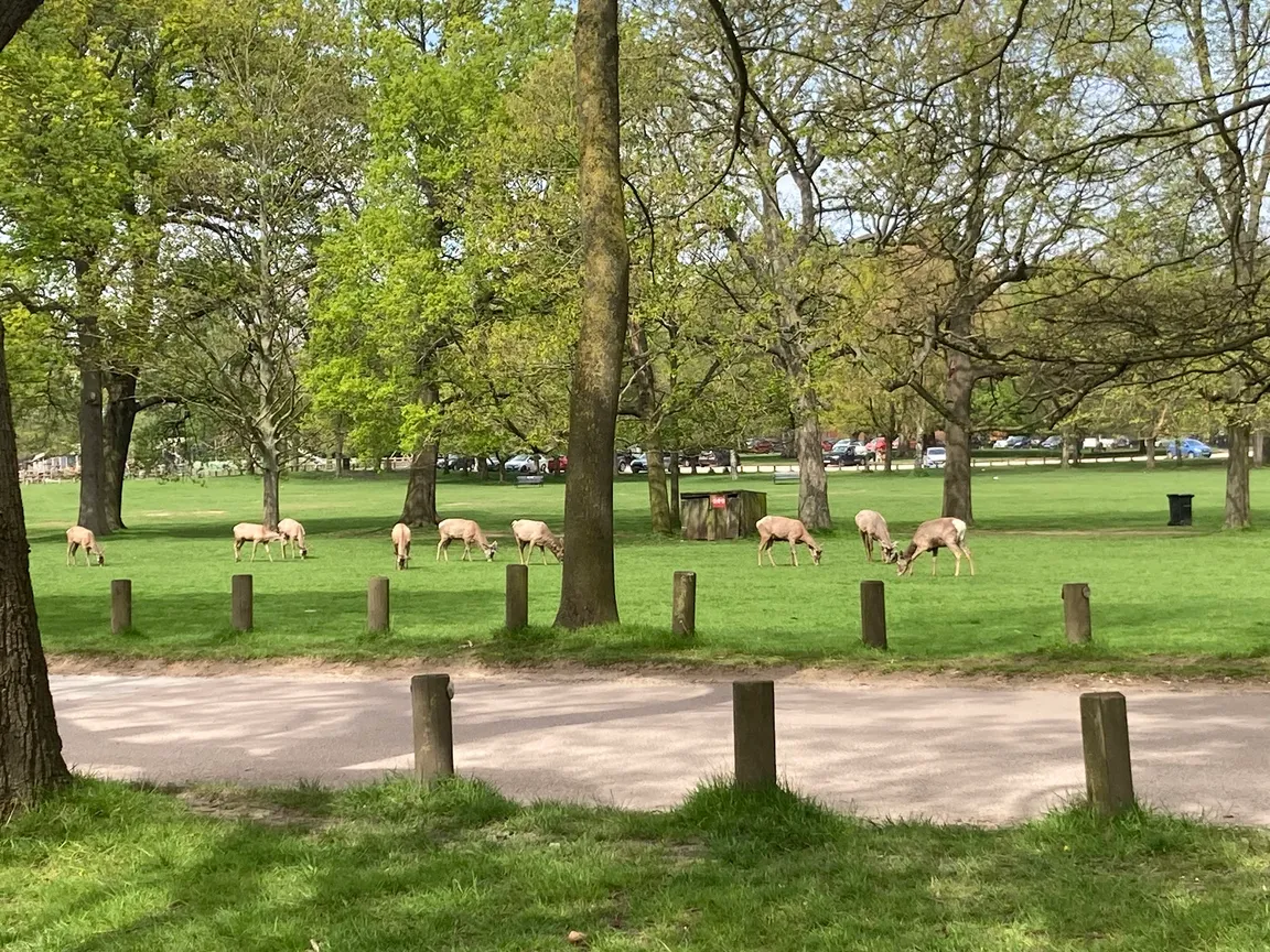 Wollaton Hall, Gardens and Deer Park