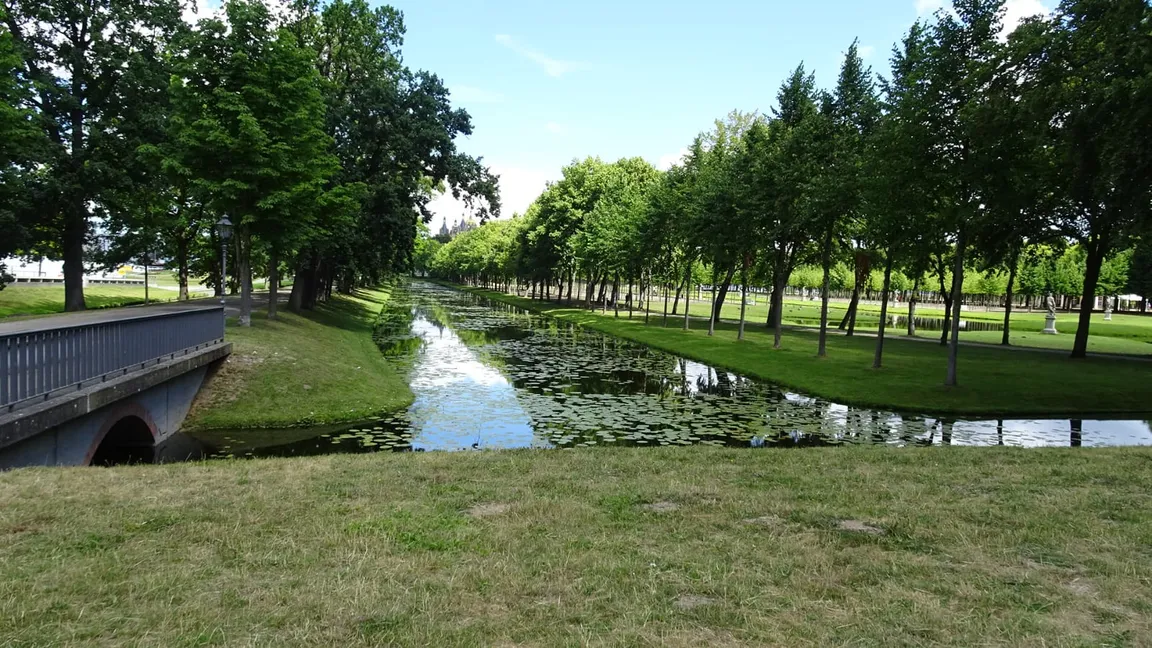Schwimmende Wiese
