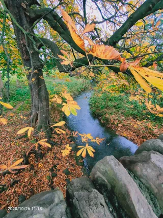 Jack Kane Park