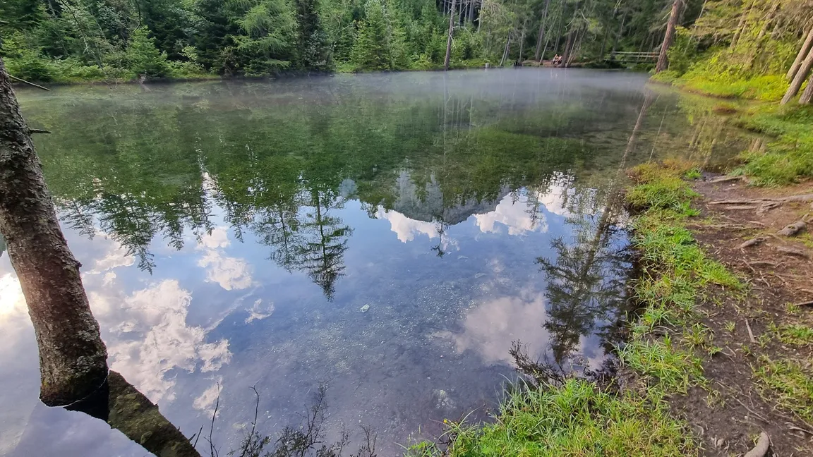 Grüner See