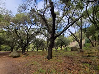 Stevens Park