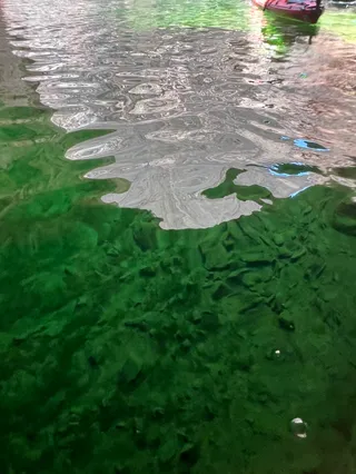 Blazin' Paddles
