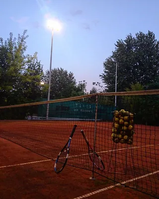 Wola Tennis Club