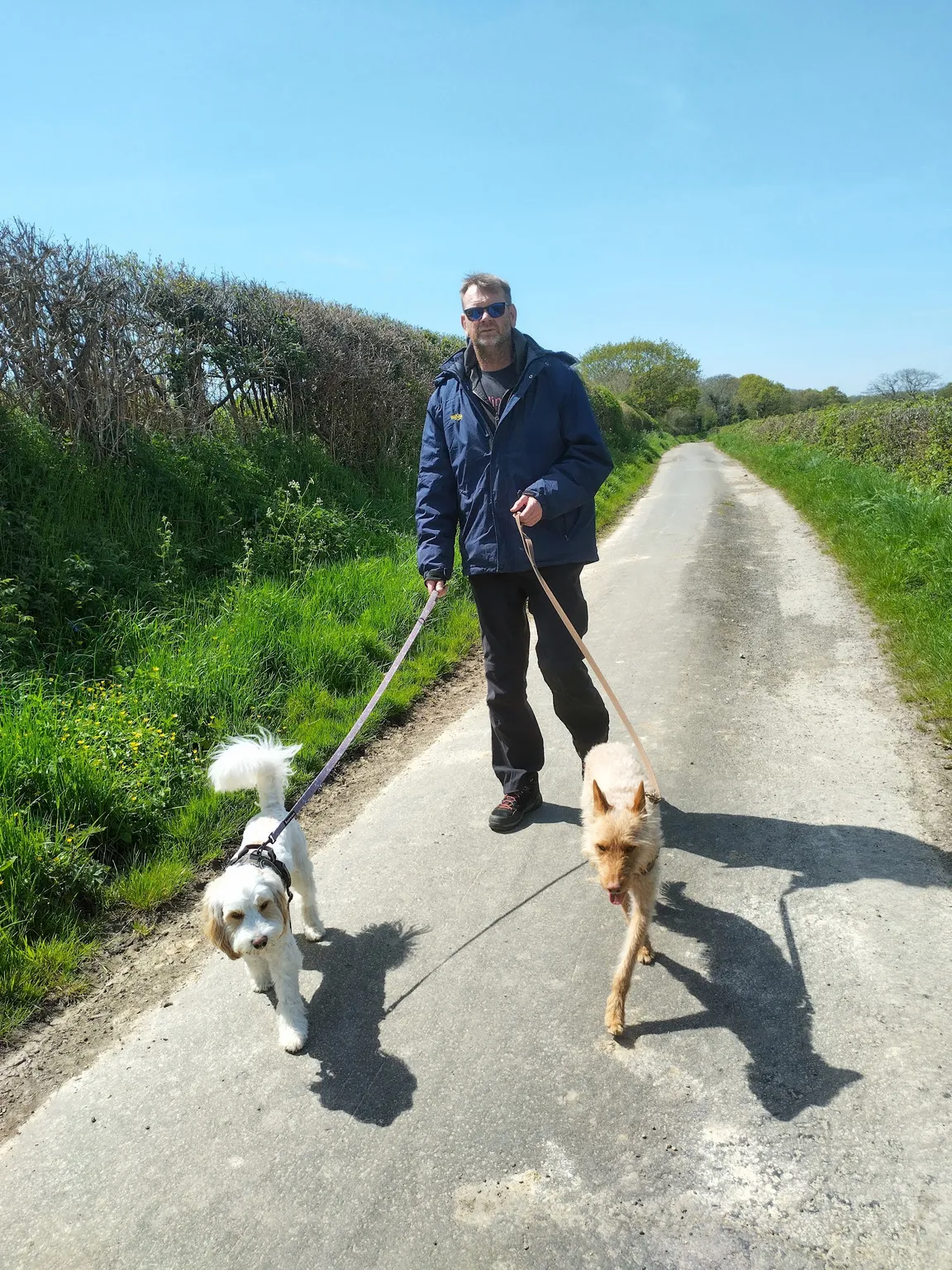 Cuckoo Trail (Polegate - Hailsham)