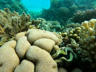 Tierra Tour Hurghada