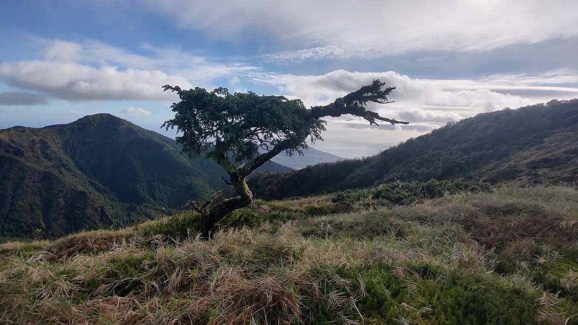 Reserva Natural do Pico da Vara