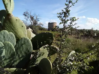 Masseria Rauccio