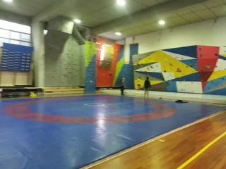 olympic wrestling / rock climbing/ gymnastic