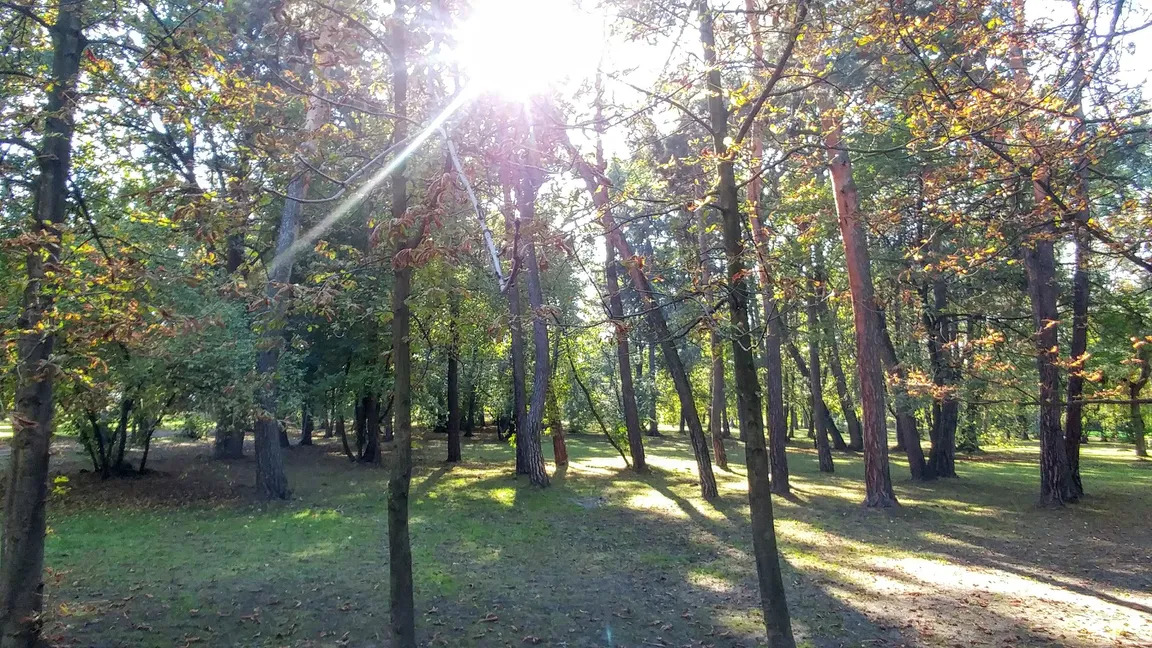 Park Adama Mickiewicza