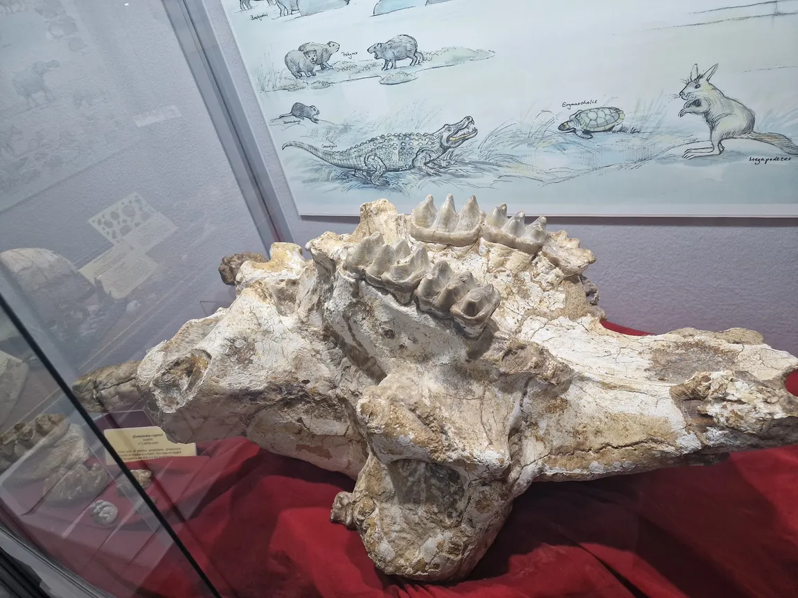 Geological Survey Museum