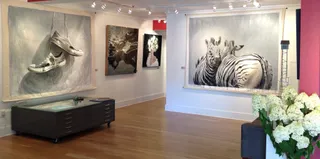 Eisenhauer Gallery