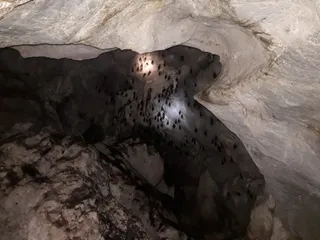 Khao Phueng Cave