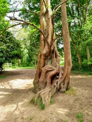 Barnwood Park and Arboretum