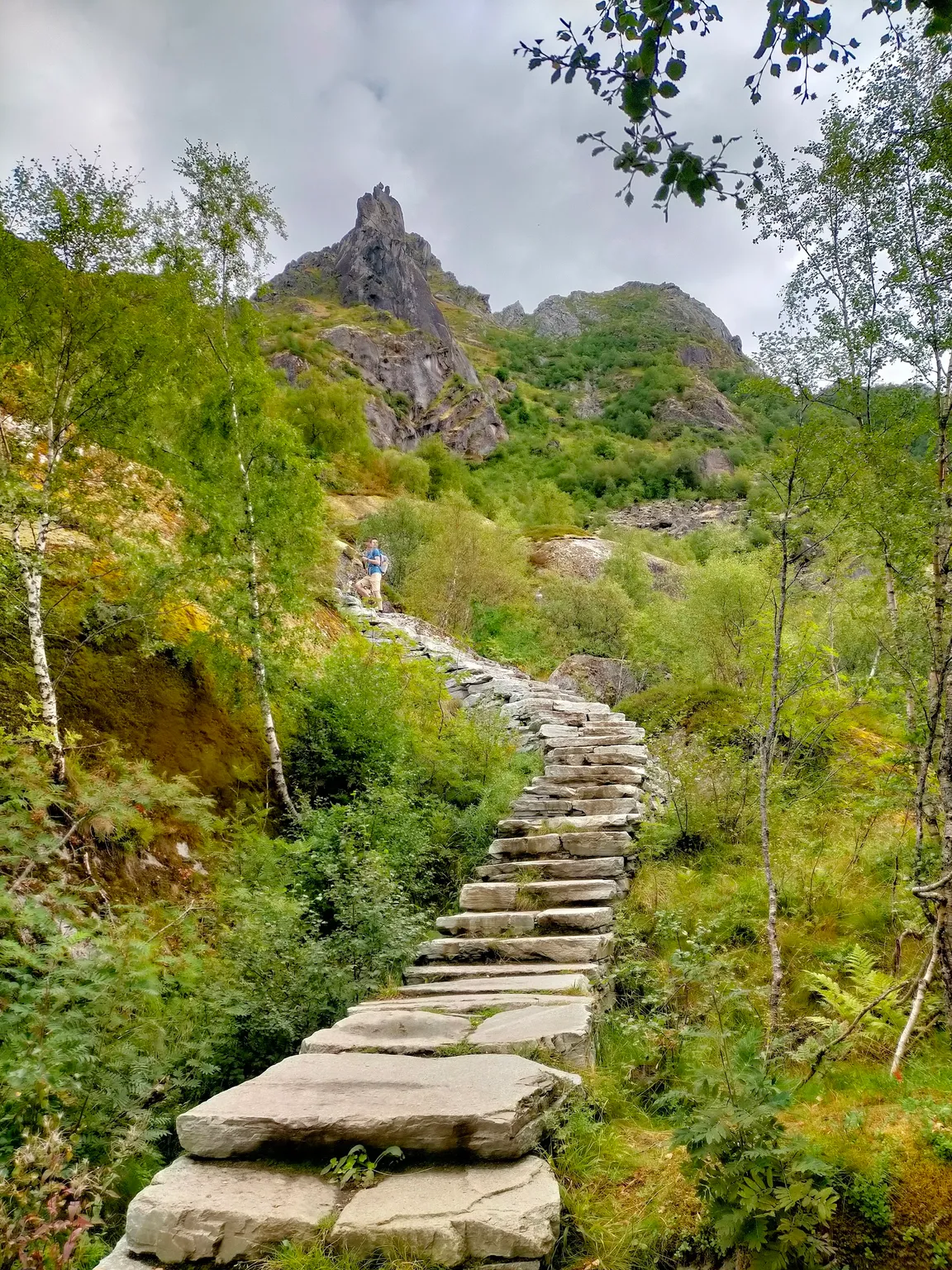 Svolværgeita