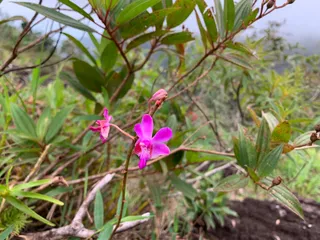 Khao Laem Mountain Trek