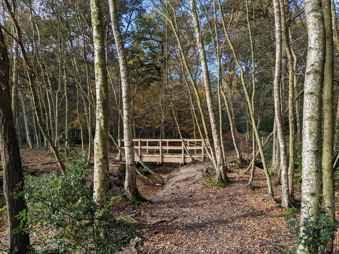 Castle Bottom