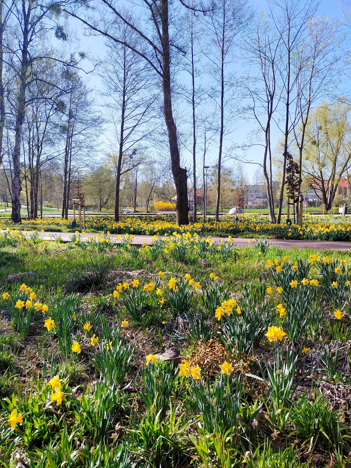 Park centralny