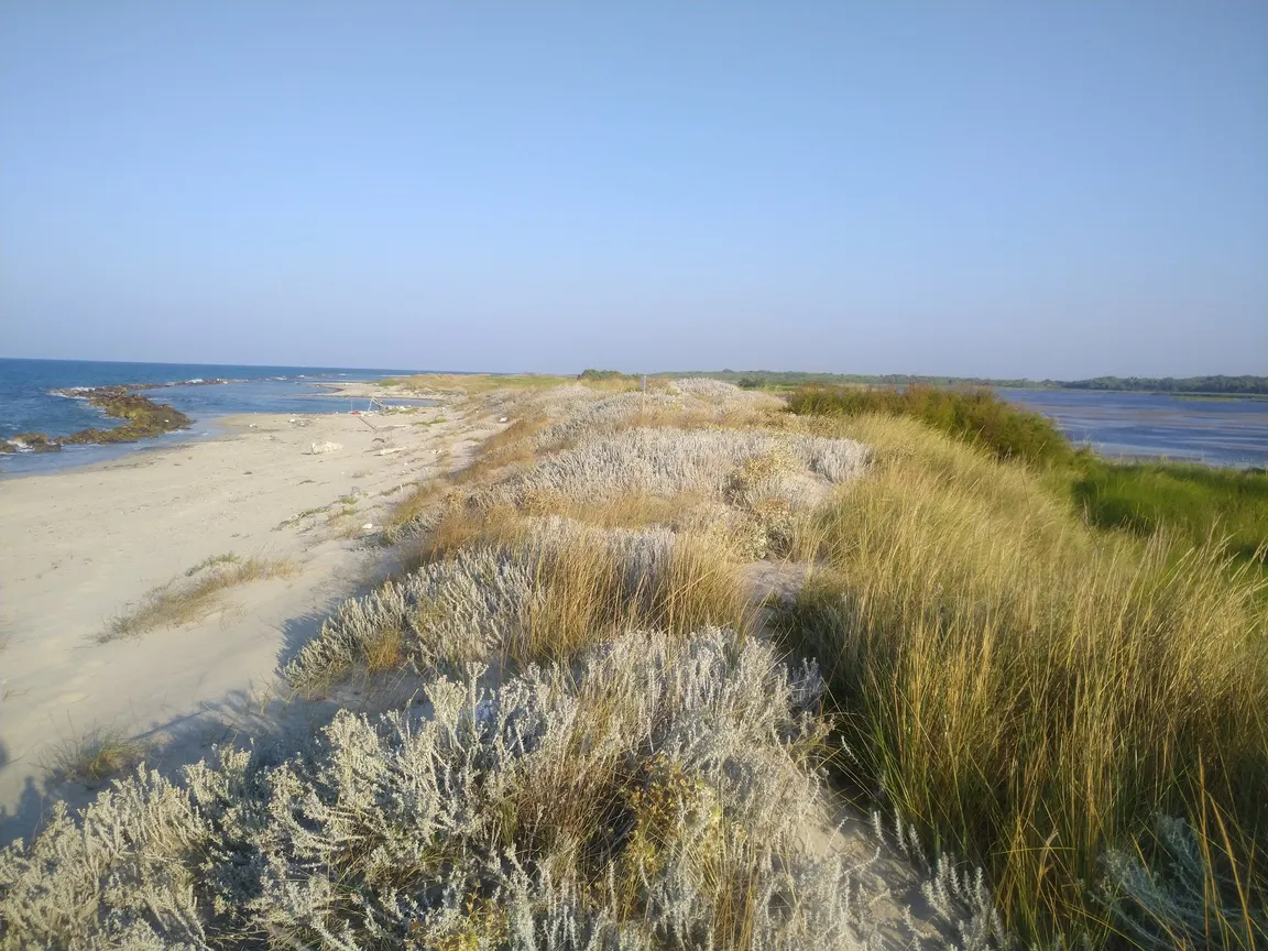 Riserva Naturale Le Cesine