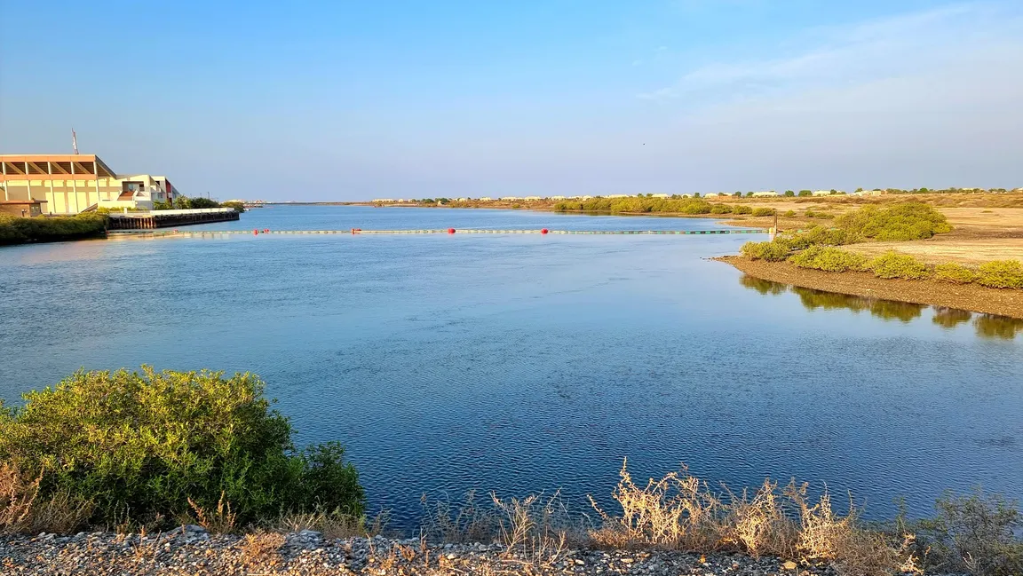 Khor Kalba Mangrove Centre