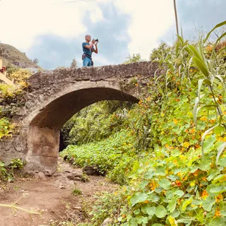 Barranco Del Álamo, Teror