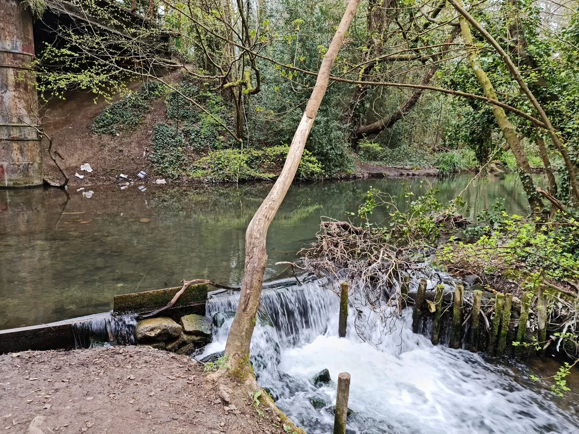 Meon Valley Trail