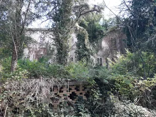 Padiglione "Ferri"