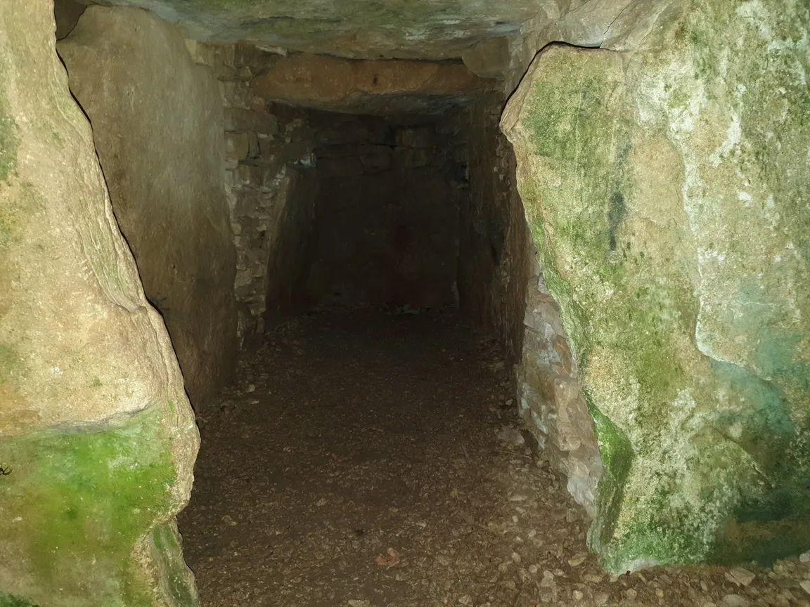 Uley Long Barrow (Hetty Pegler's Tump)