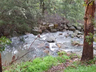 Bridge Reserve
