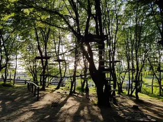 AdrenaLinaPark