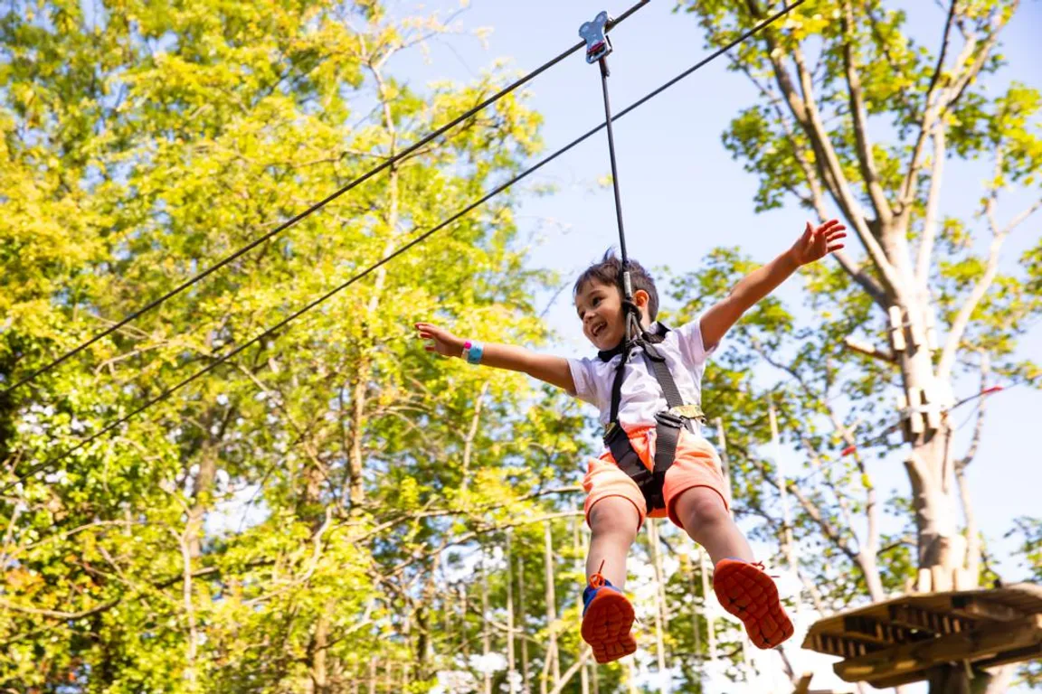 Go Ape Crawley