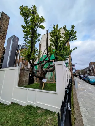 Banksy Tree Mural