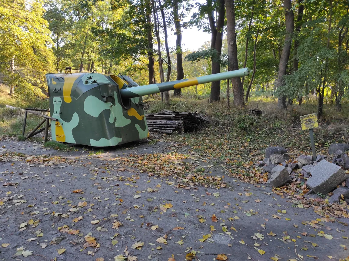 Fort Gerharda