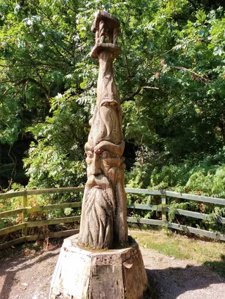 Y Berwyn National Nature Reserve