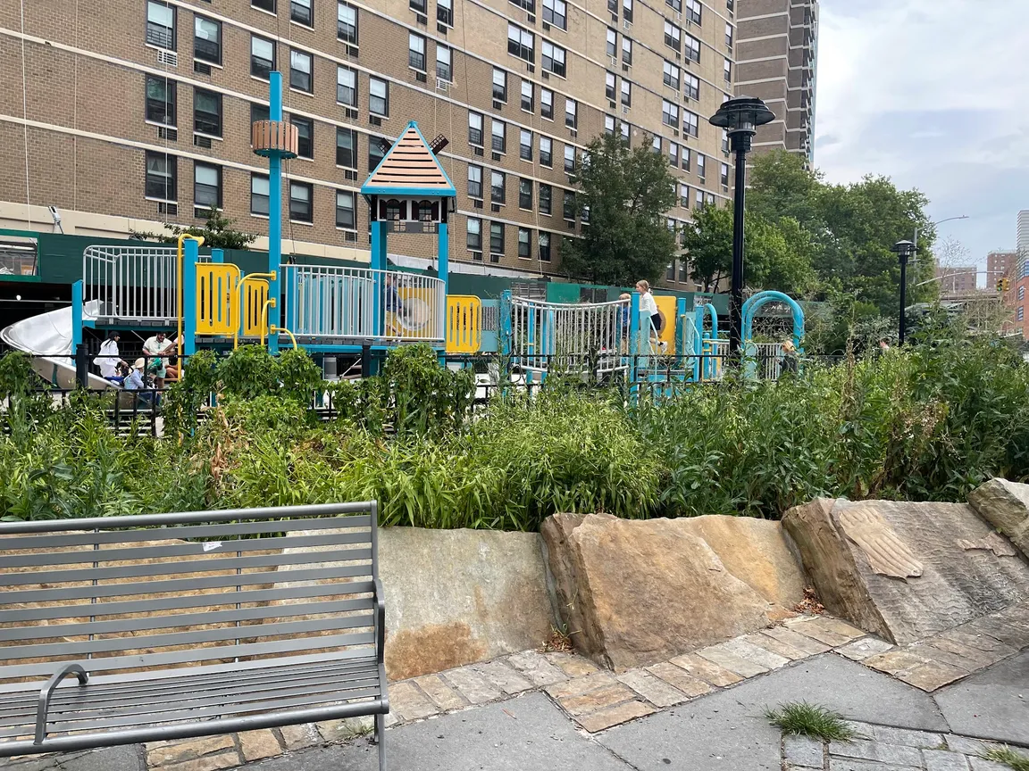 Pearl Street Playground