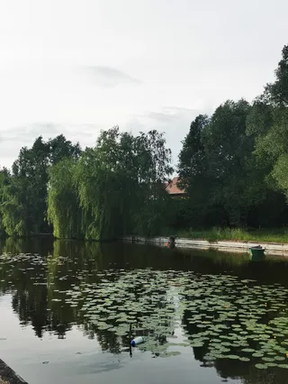 Park z Ławkami Nad Bystrym