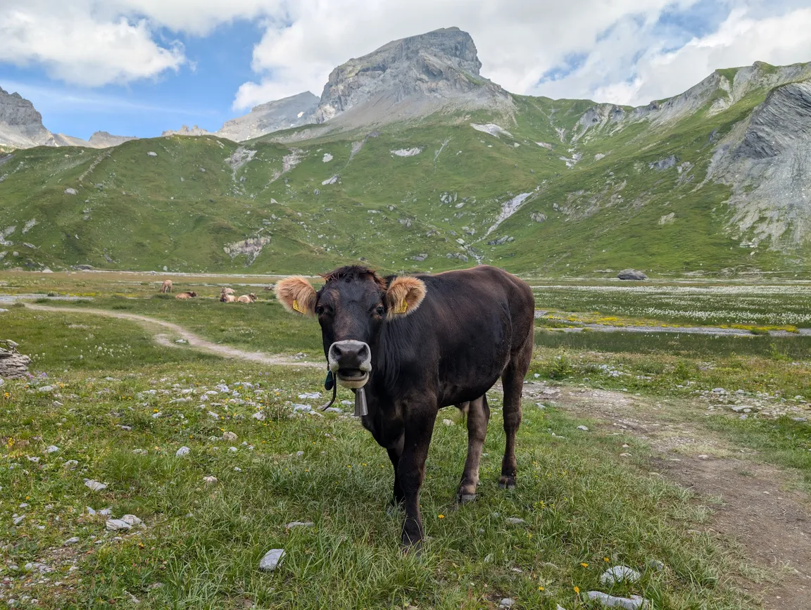 UNESCO-World Heritage Swiss Tektonic Arena Sardona