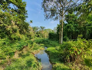 Windsor Nature Park
