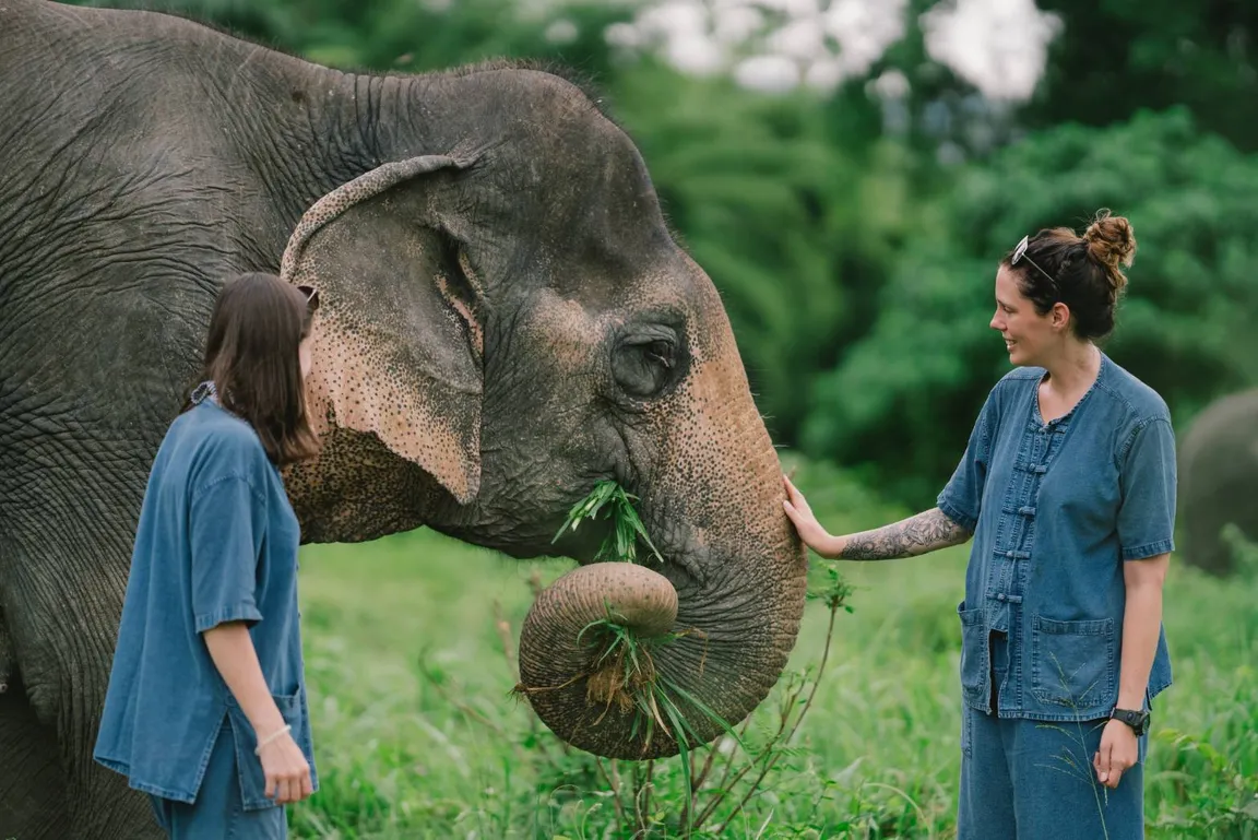 Lanta Elephant Sanctuary