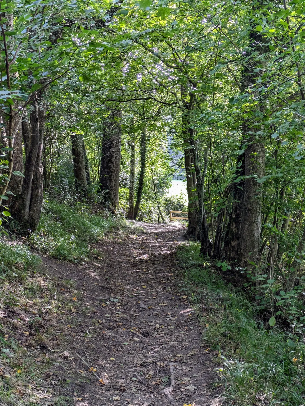 Ashford Hangers National Nature Reserve