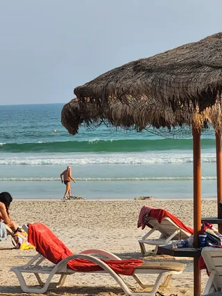 Coco Shack Beach Bar